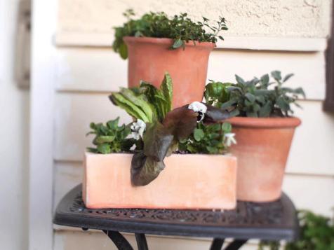 Make a Front Porch Herb Garden
