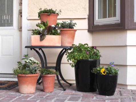 Pot Height and Entry Design