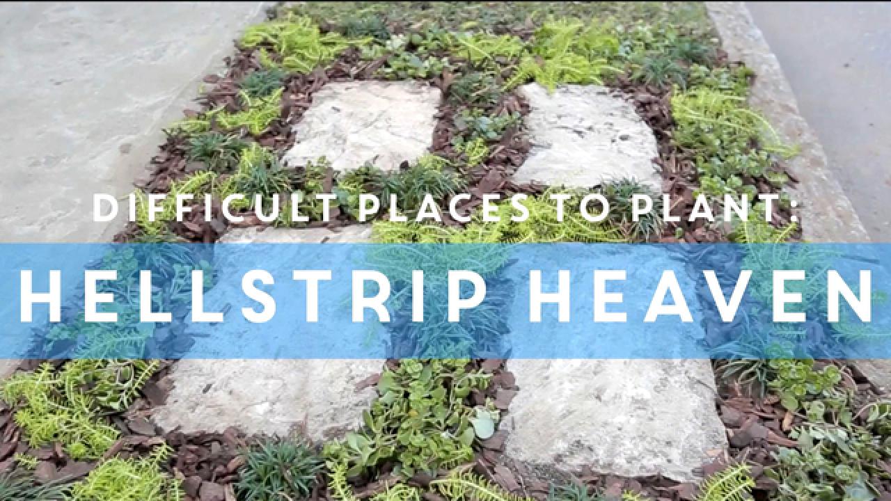 Add Curb Appeal to Your Hellstrip