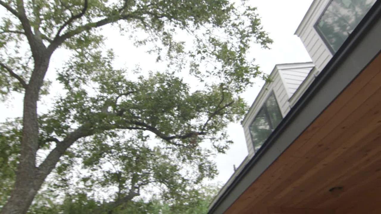 HGTV Smart Home 2015: Building Around Trees