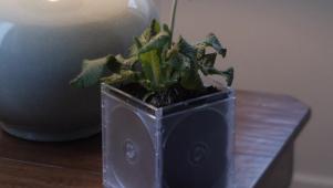 Make a Planter From CD Cases