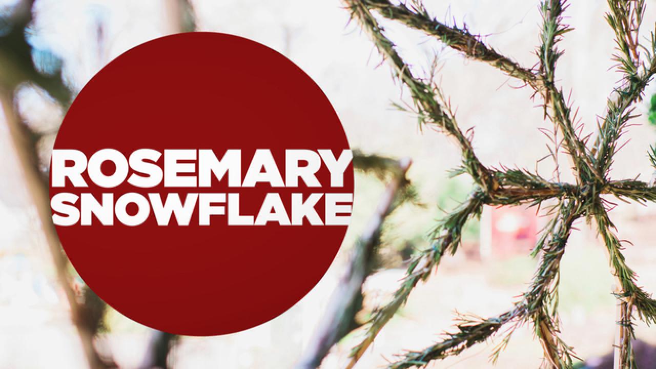 DIY Rosemary Snowflakes