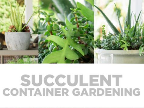 HGTV Dream Home 2016 Succulent Container Gardening