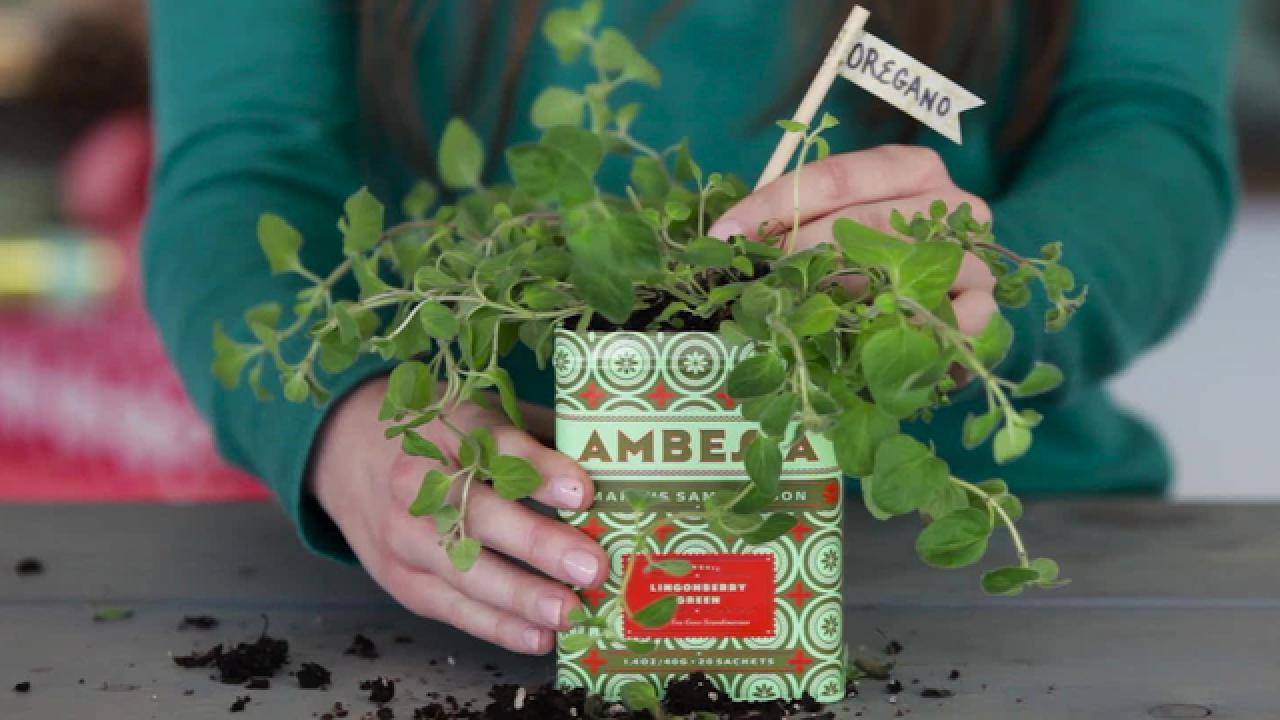 Tea Tin Herb Garden