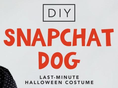 Snapchat Dog Halloween Costume