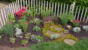Plant a Cottage Garden