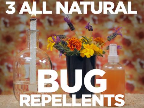 3 All-Natural Bug Repellents
