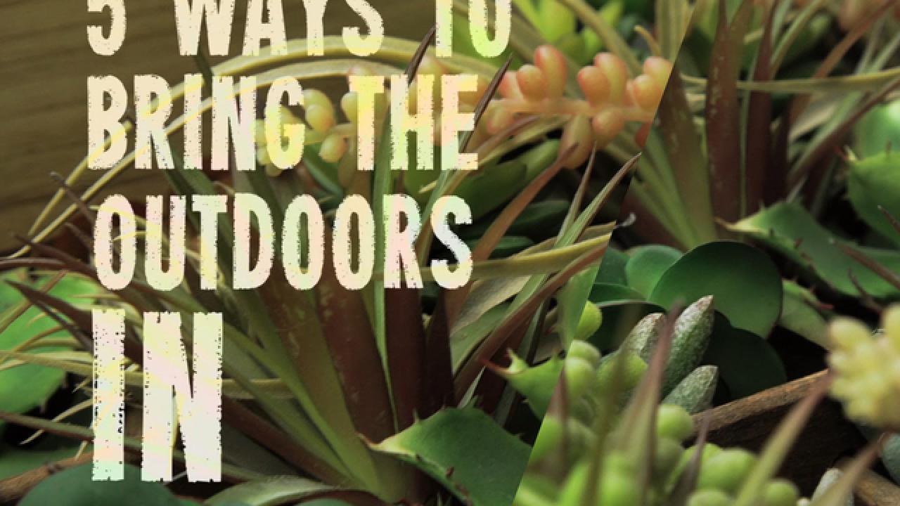 5 Ways to Bring the Outside In