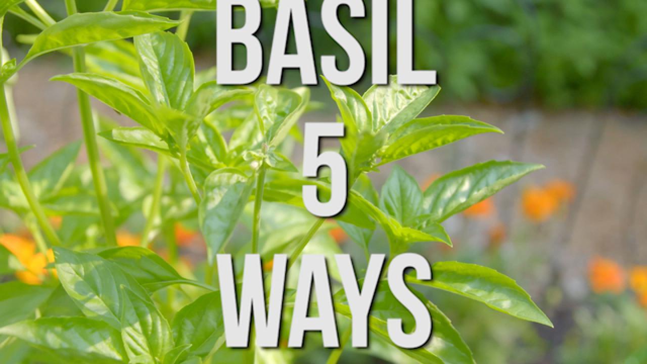 Basil 5 Ways