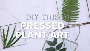 DIY Pressed Plant Art