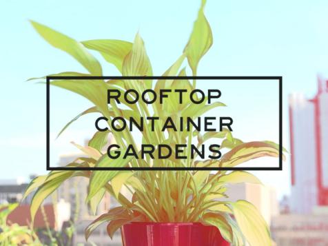 Rooftop Container Gardens