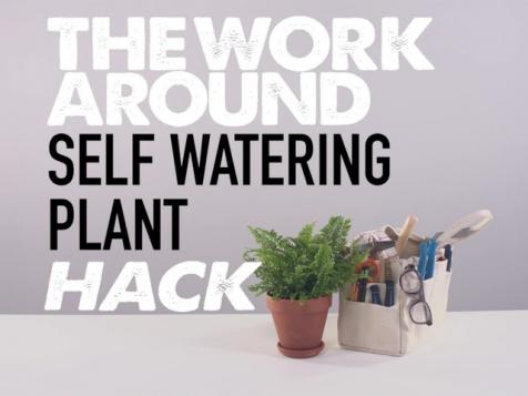 DIY Self-Watering Plant System
