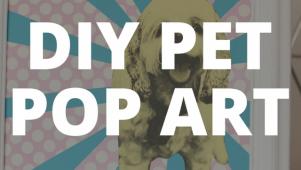 DIY Pet Pop Art