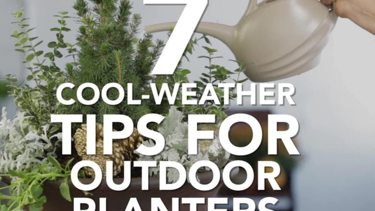 7 Cool-Weather Planter Tips