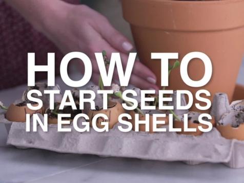 Easy Eggshell Seed Starters