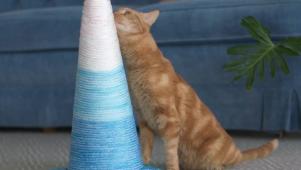 DIY Cat Scratching Post