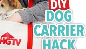 DIY Dog Carrier Hack