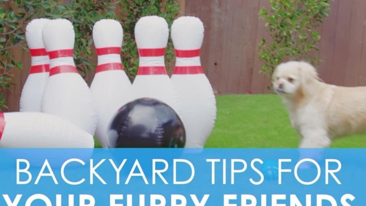 3 Backyard Tips for Pets