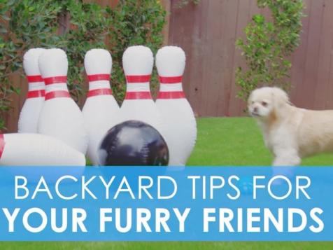 3 Backyard Tips for Pets