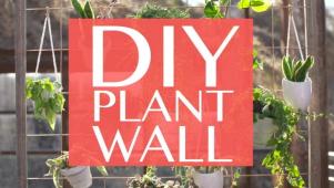 DIY Plant Wall