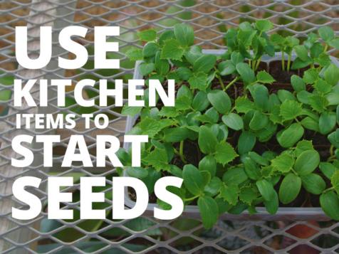 How to Start Seeds