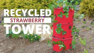 DIY Recycled Strawberry Tower
