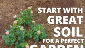 Improving Your Garden Soil