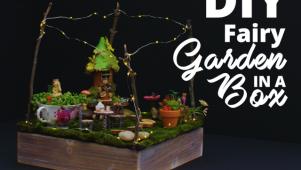 DIY Fairy Garden in a Box