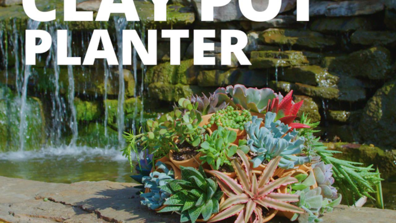 DIY Clay Pot Planter