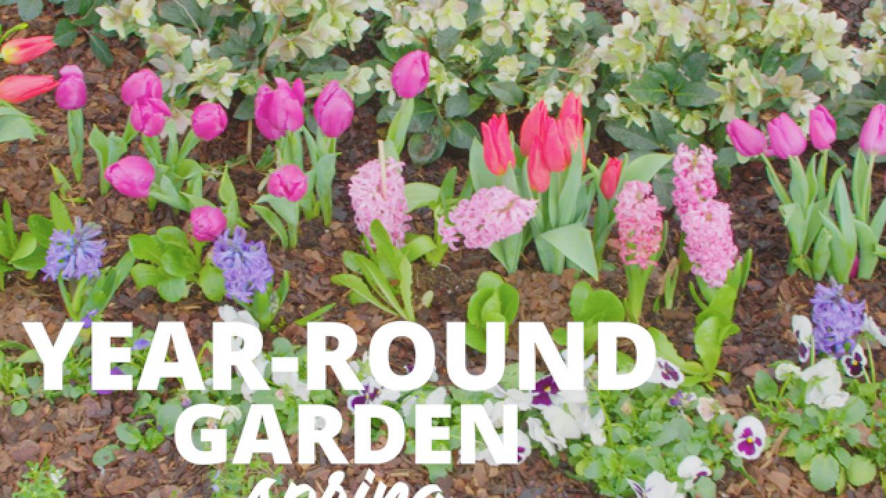 Planting a Year-Round Garden in the Spring