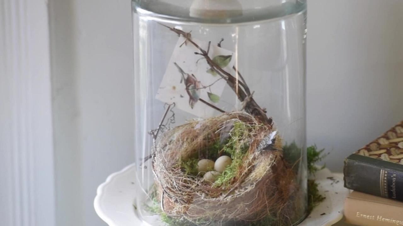 DIY Spring Bird's Nest Terrarium