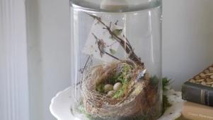 DIY Spring Bird's Nest Terrarium