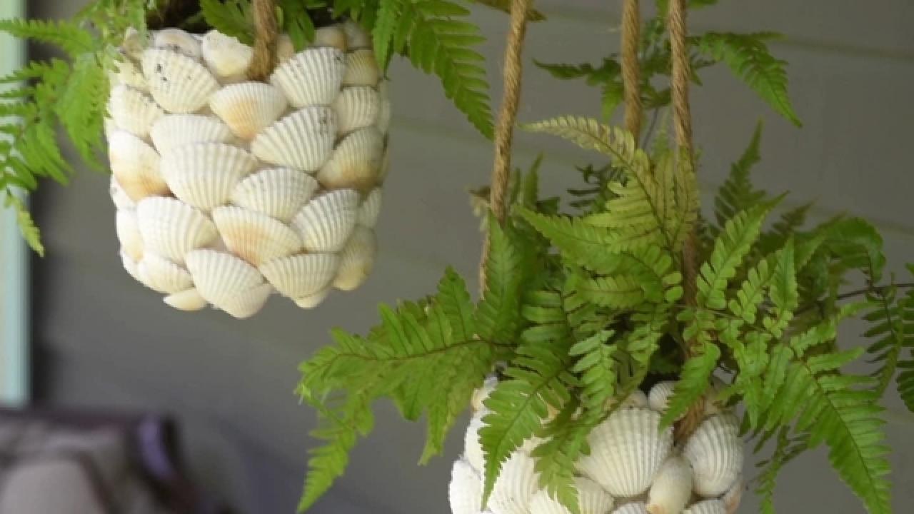 DIY Seashell Hanging Planter