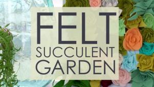DIY Felt Succulent Garden