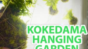 DIY Kokedama String Garden