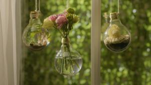 DIY Light Bulb Vases