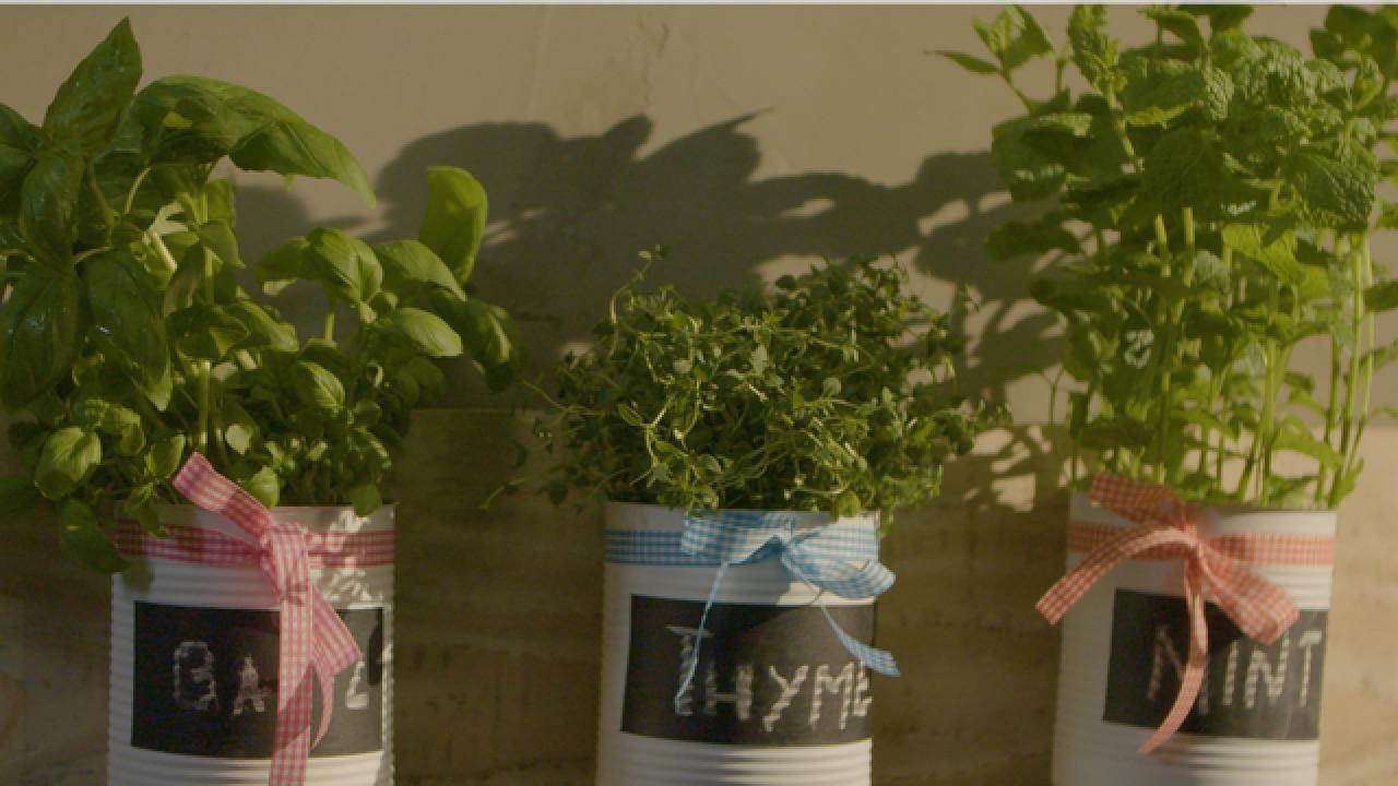 DIY Tin Can Herb Garden