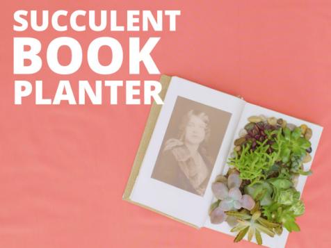 DIY Succulent Book Planter