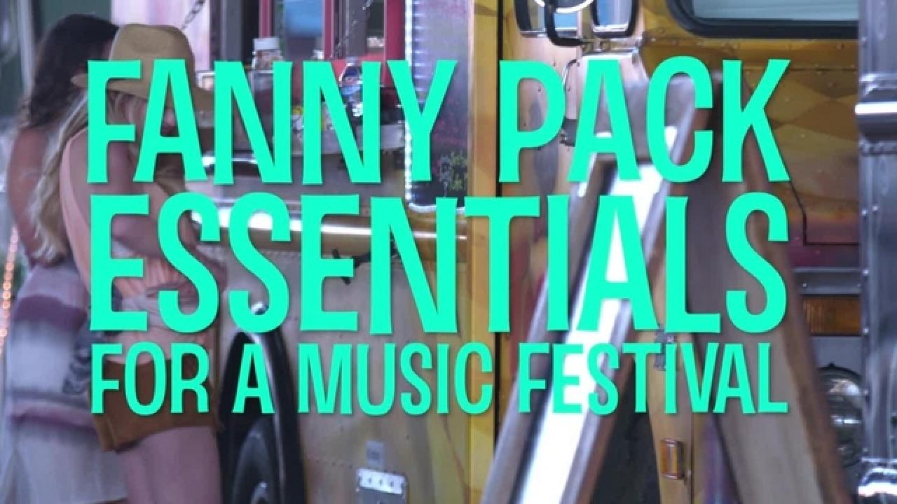 Fanny Pack Essentials