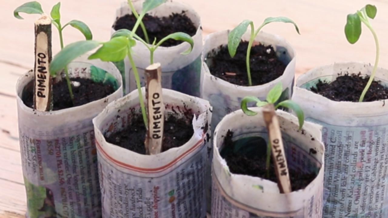 Newspaper Seed Pots