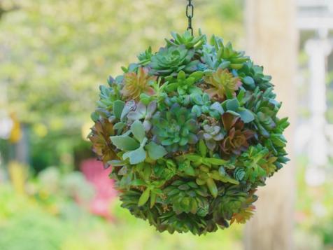 DIY Succulent Sphere