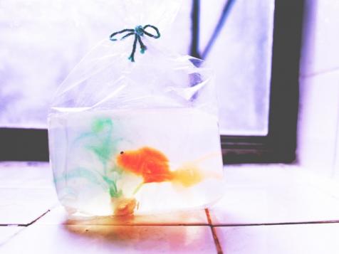 DIY Goldfish-Shaped Soap