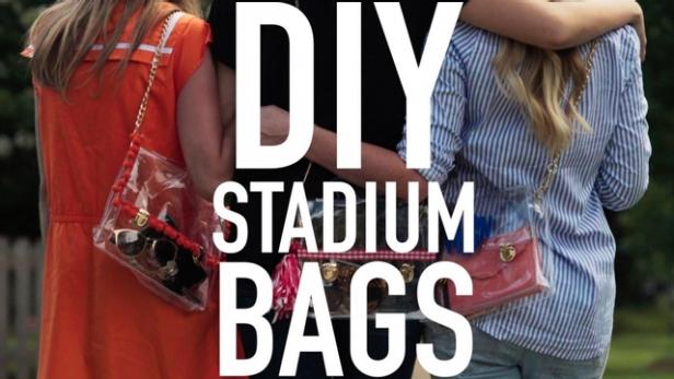 cute clear stadium purse