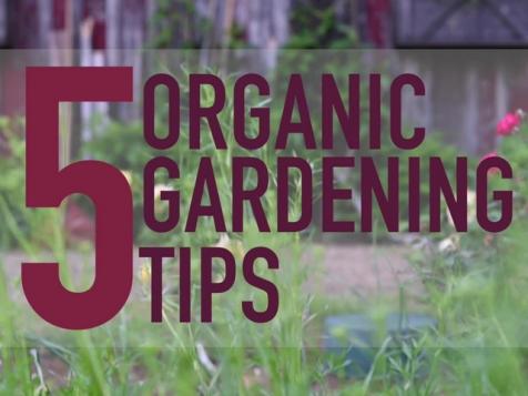 5 Organic Gardening Tips
