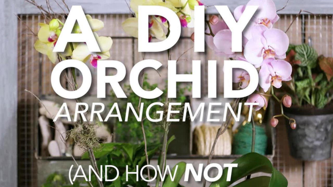 DIY Orchid Arrangement