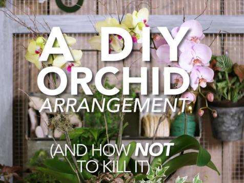 DIY Orchid Arrangement