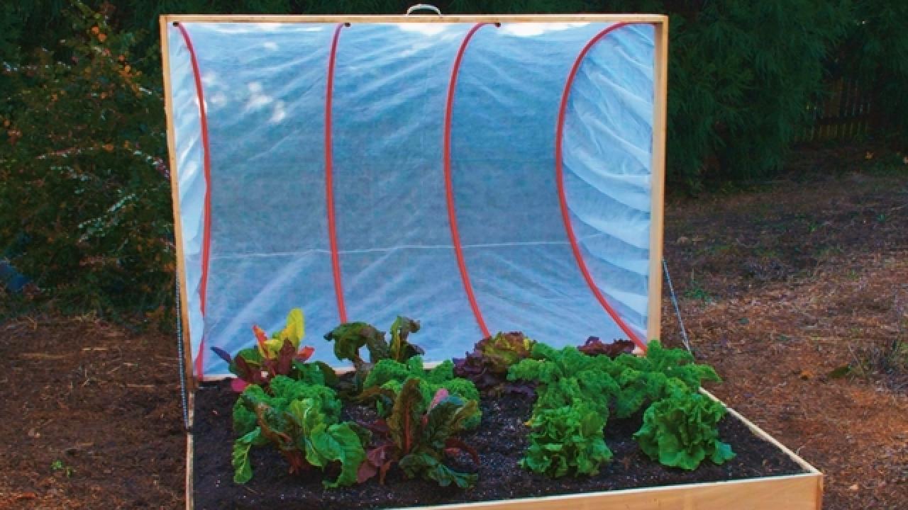 How to Build a Hula Hoop Cold Frame