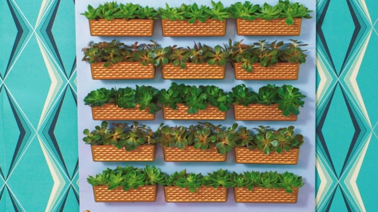 Dollar Store Vertical Garden