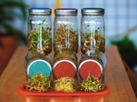 How to Grow Sprouts