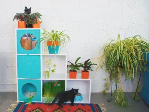 Cat-Friendly Indoor Garden